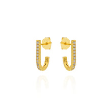 Load image into Gallery viewer, Hook Earrings