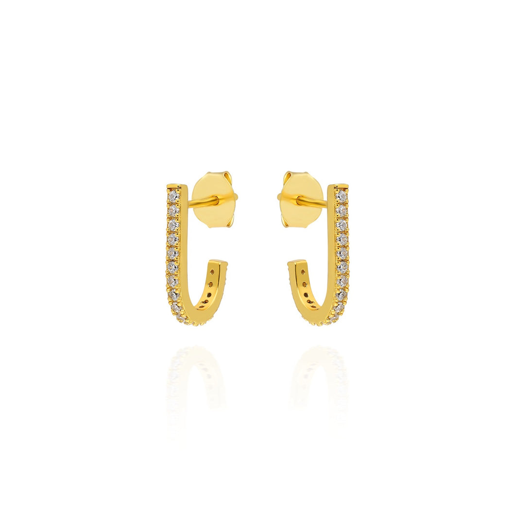 Hook Earrings