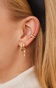 Hook Earrings
